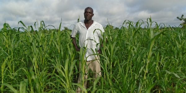 Valoriser le rôle de la paysannerie au Sénégal © SOL
