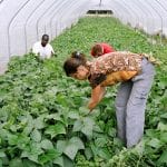 cocagne-credits-photos_christophe-goussard_jardin-de-couzeix_limousin-opt