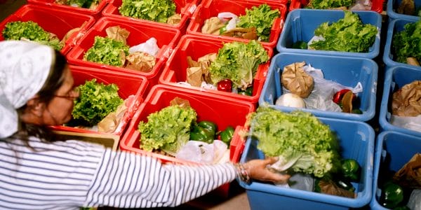 Préparation des légumes au Jardin de Couzeix dans le Limousin © Christophe Goussard