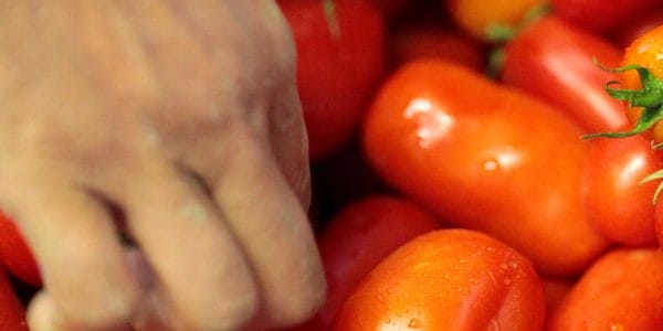 Des légumes sains et socialement responsables avec le réseau Cocagne © Henri Pol
