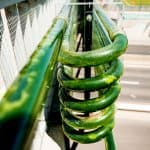 Système de tube du photo-bioréacteur ©Genève, villes et champs