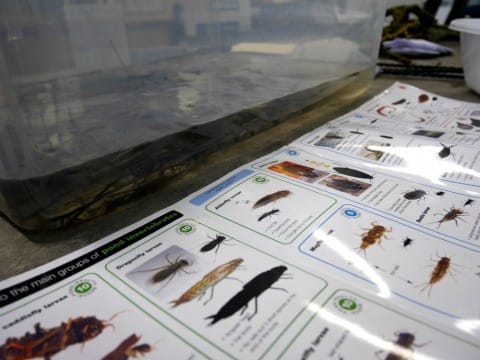 Guide d'identification de la faune © OPAL