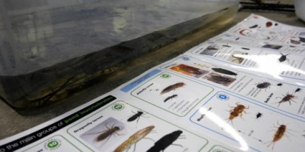 Guide d'identification de la faune © OPAL