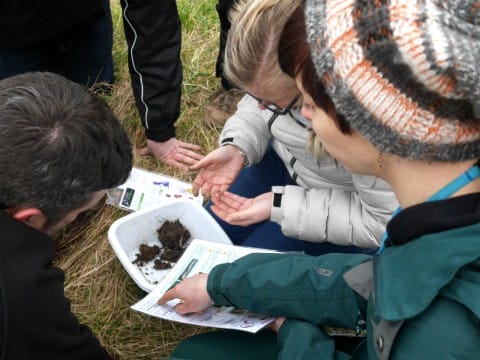 Observation de la faune © OPAL