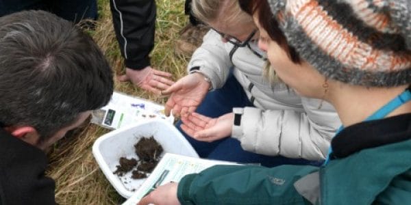 Observation de la faune © OPAL Observation de la faune © OPAL