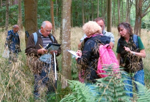 séances d'identification des arbres © OPAL