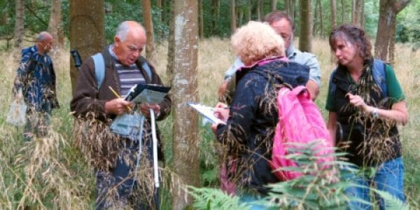 séances d'identification des arbres © OPAL
