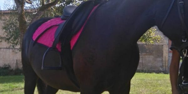 Un tour en demi-poney gratuit © La Boutique Sans Etiquette