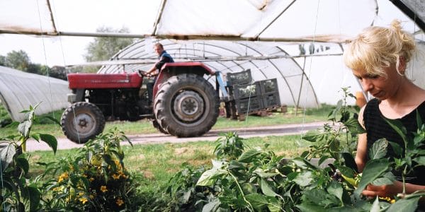 Jardin de Thaon-les-Vosges © Christophe Goussard Jardin de Thaon-les-Vosges © Christophe Goussard