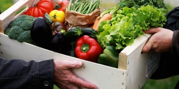 Devenir consomm'acteur avec les paniers de légumes du réseau Cocagne © Les potagers du Garon