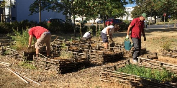 Covea niort (crédit_Ça Me Regarde) Covea niort (crédit_Ça Me Regarde)