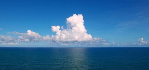 By Tiago Fioreze (Own work) [CC BY-SA 3.0 (http://creativecommons.org/licenses/by-sa/3.0) or GFDL (http://www.gnu.org/copyleft/fdl.html)], via Wikimedia Commons