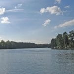 The Willamette River near the confluence with the Molalla River