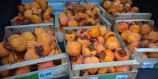 Des kakis à redistribuer © Le Bocal Local