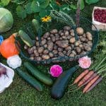 lebocallocal_mix_legumes_1280-opt