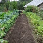 cocagne_potager_1280-opt