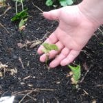 lesgoodnews fermes d'avenir cover