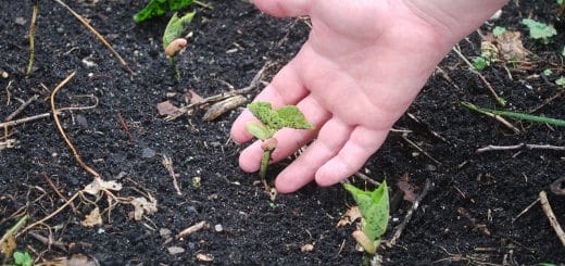 lesgoodnews fermes d'avenir cover