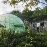 Une des serres présente dans les fermes d'avenir © Clément Osé