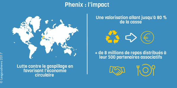 infographie lesgoodnews phénix © Lesgoodnews 2017
