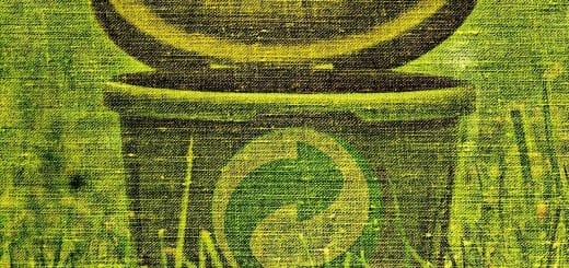 lesgoodnews phénix cover