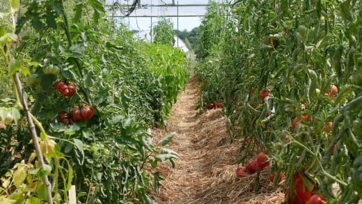 association sol lesgoodnews