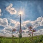 e-flowerpower lesgoodnews cover