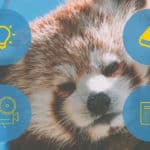 Les pandas roux couverture © Lersgoodnews