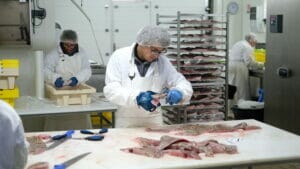 Les paniers de la mer