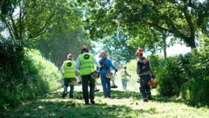 L'entretien des espaces verts